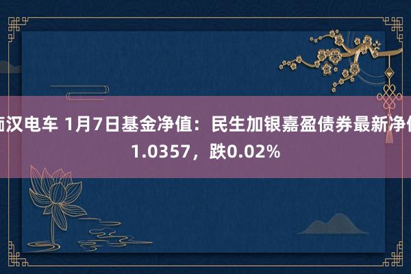 痴汉电车 1月7日基金净值：民生加银嘉盈债券最新净值1.0357，跌0.02%