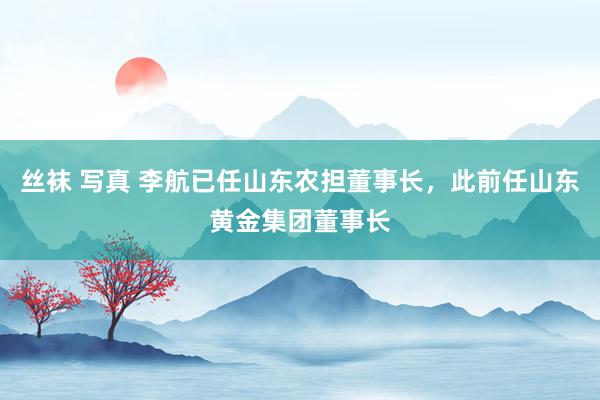丝袜 写真 李航已任山东农担董事长,此前任山东黄金集团董事长
